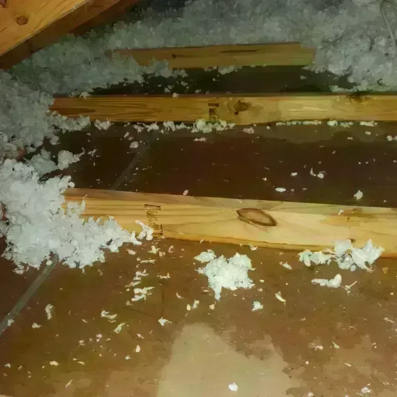 Attic Water Damage in Rock County, WI