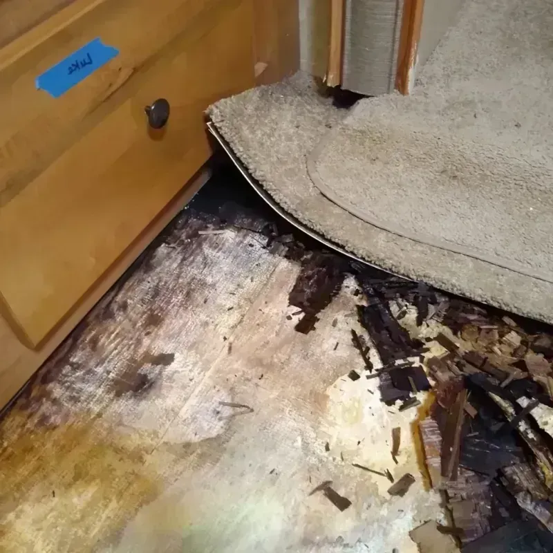 Wood Floor Water Damage in Rock County, WI